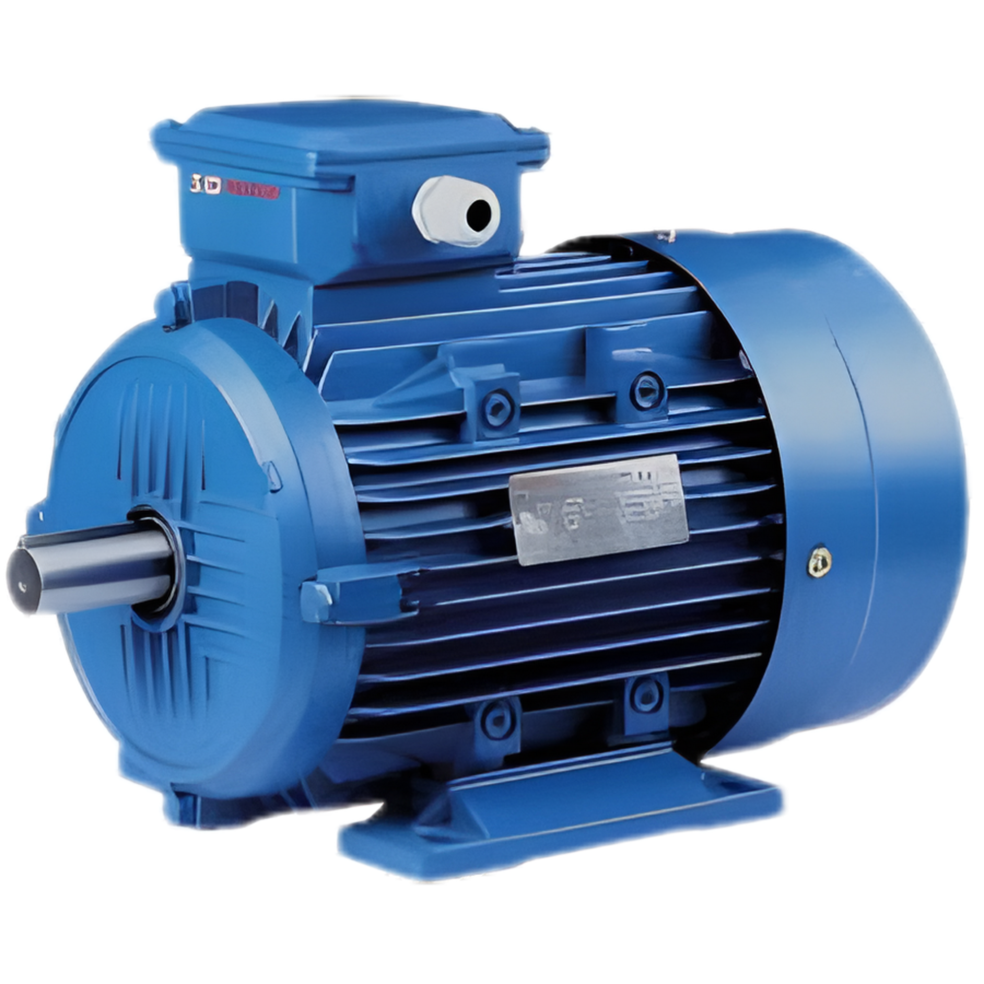 INDUCTION MOTOR